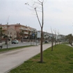 Clicca per ingrandire l'immagine