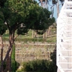 Clicca per ingrandire l'immagine