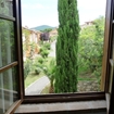 Clicca per ingrandire l'immagine